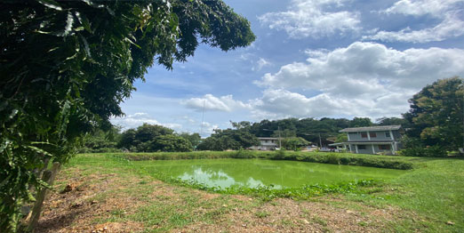 foto1
